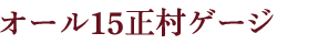 オール15正村ゲージ
